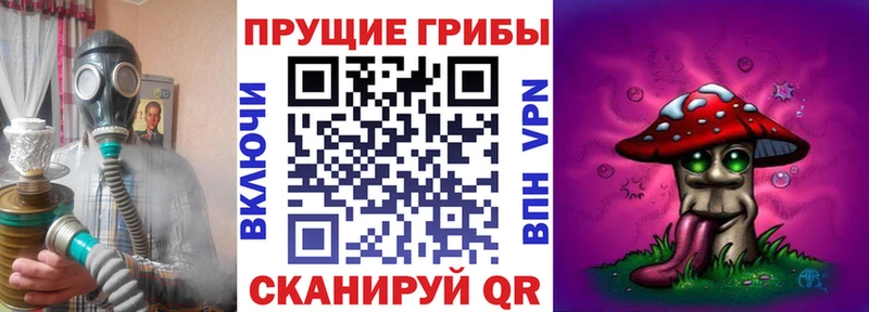 Галлюциногенные грибы MAGIC MUSHROOMS  kraken рабочий сайт  Высоцк  где можно купить  