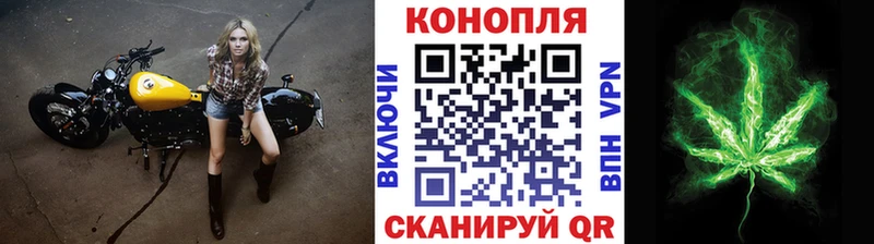 дарнет шоп  Высоцк  Конопля MAZAR 